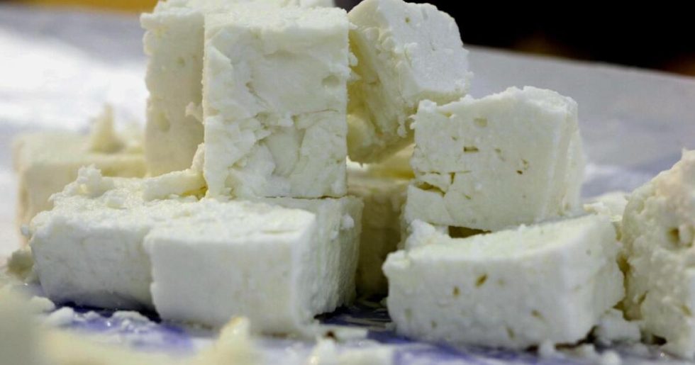 SOS από τους τυροκόμους της Λέσβου